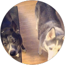 Review from Amanda Gates