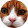Alan Regan profile picture