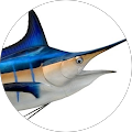 Marlin Hunter