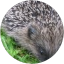 Review from lesley hislop