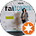 rakel velloso profile picture
