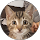 Chantal Damm profile picture