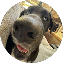 ORDONNA profile picture