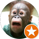 Landon B. profile picture