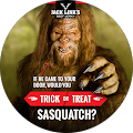 sasquatch gaming