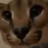 userThumbnail