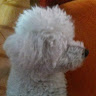 Created by