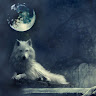 author-avatar