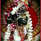 Utilizator: Rahul Kumar