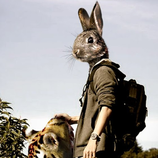 บริษัท อิศรา ฮาเวสส์ จำกัด