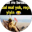 Erdal York