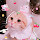 My Melody