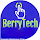 BerryTech (ComputerTechnician)