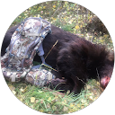 Black Bear Hunter comment image