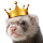 Ferret King