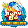 SODO RỒNG HỔ