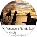 Pensacola Florida Belgian Malinois K9 Training comment image