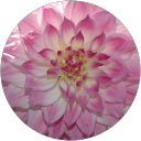 Eva Stuart comment image