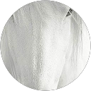 Deanna Koscal comment image