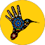 tierra huichol