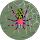 SPIDER WEB
