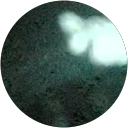 josh glodowski comment image