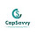 CapSavvy Consultants