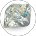 Diamond Louis XIV