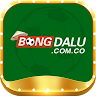 bongdaluco