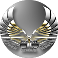 Peter Dolas (RockBird LLC)