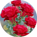 client dp