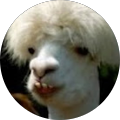 Hannah Yoe