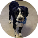 Cheri Winchell’s Avatar