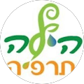 תמונה