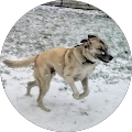 User profile - Megan Broom.
