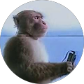 Avis de Marvin.s avec une note de 1 sur 5