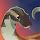 devsnek's profile photo