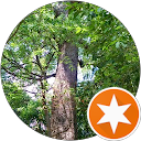 はる風 profile picture