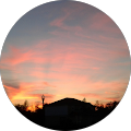 Sunset Life