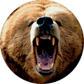 Mama Grizzly