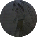 rayku lynx