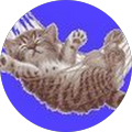 Cat Lover