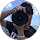 Jack Liu profile picture