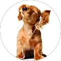 Anna Mackney Avatar