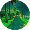 client dp