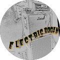 ELECTRIC BOGAN