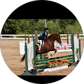 E Equestrian