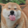 聊災治疫