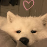 anni
