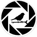 eb4auc profile picture